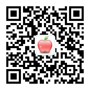 开云手机官网入口网址